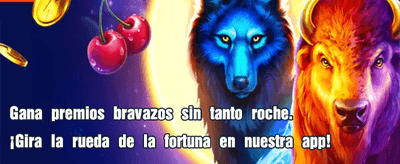 Experiencia de Casino Intralot